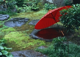 wabi