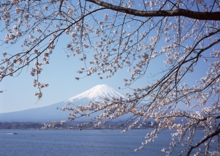 fuji